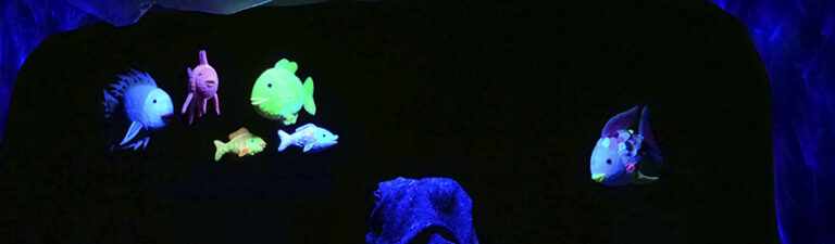 Der Regenbogenfisch | Gastspiel Figurentheater Phönix/Schorndorf | Theater Tredeschin